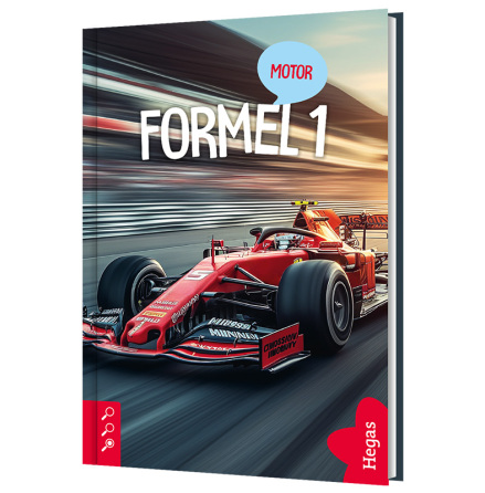 Motor - Formel 1 